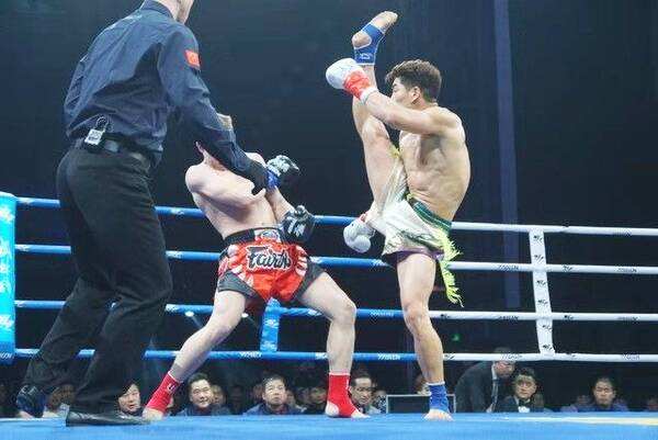 2019郑州武林风搏击世界杯