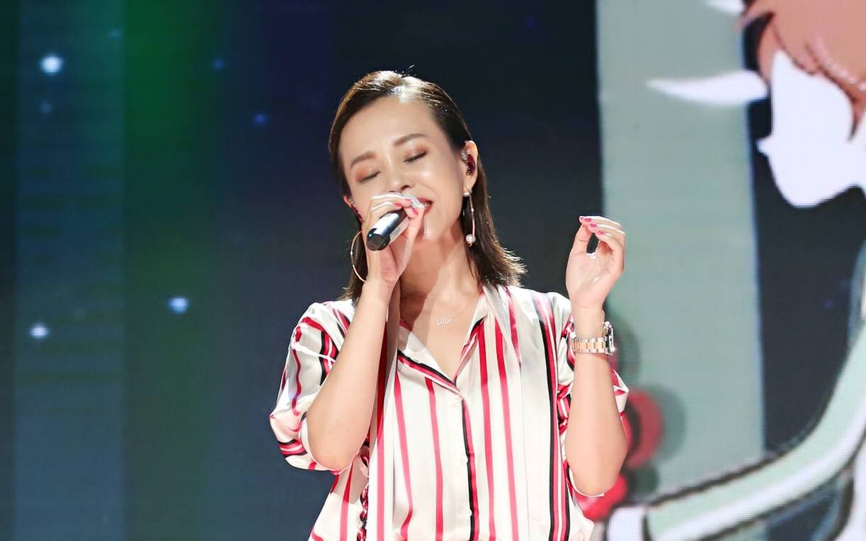 蔡健雅南京群星演唱会