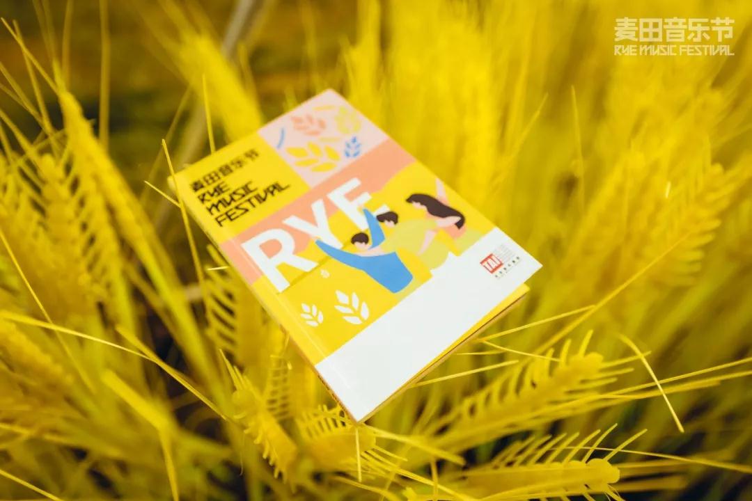 云南抚仙湖麦田音乐节