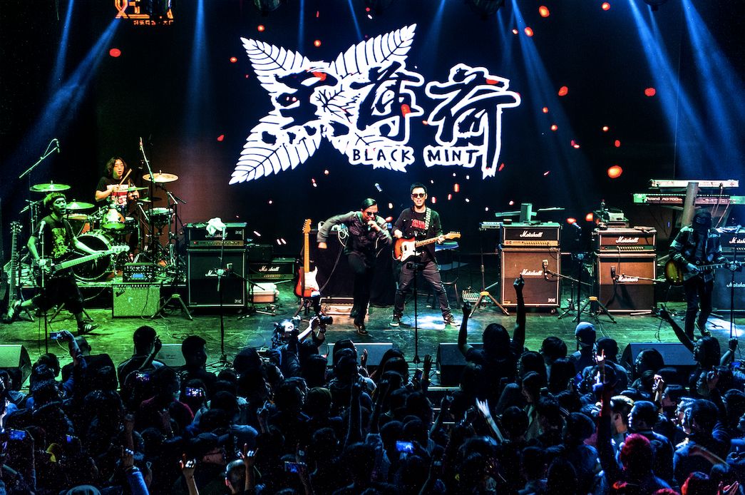 2019黑薄荷青岛演唱会