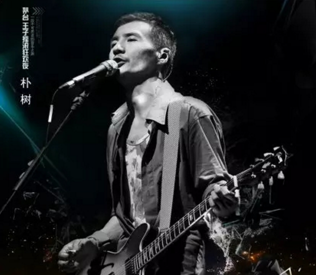 茅台王子摇滚狂欢夜铜陵演唱会