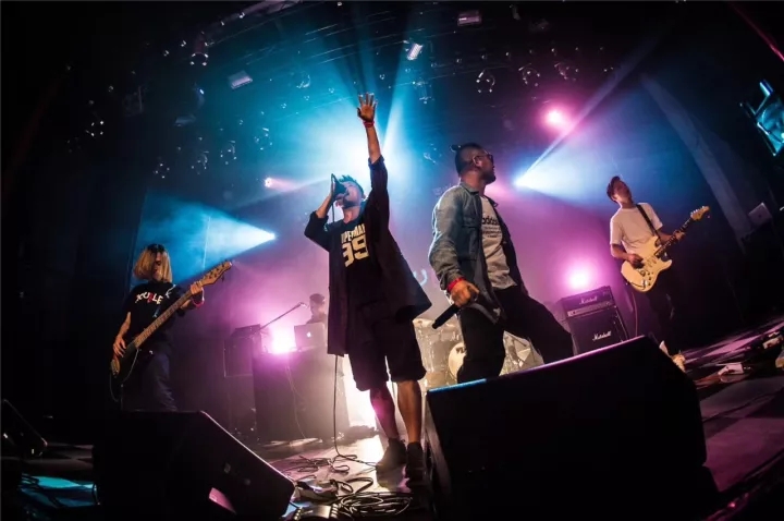 2019大布偶深圳演唱会