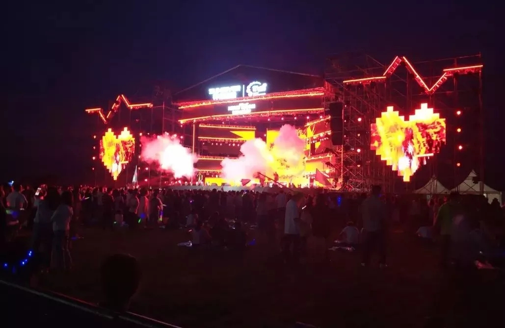 2020合肥花世界心跳音乐节
