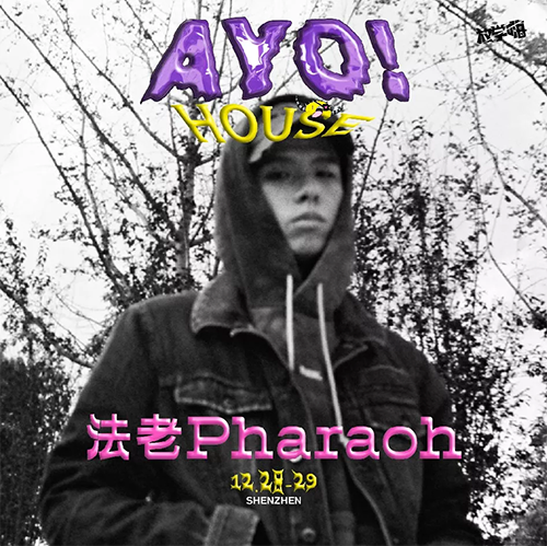 2019深圳AYO仓库音乐节
