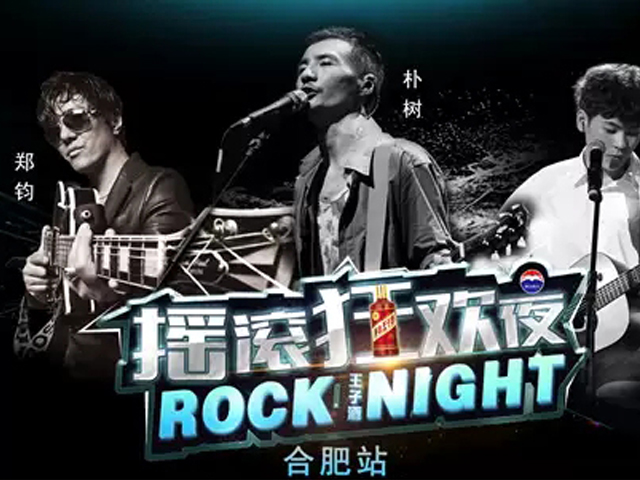 2019朴树合肥演唱会