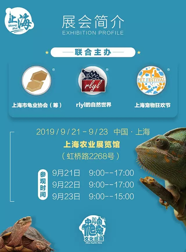 2019龟谷世界名龟展上海站