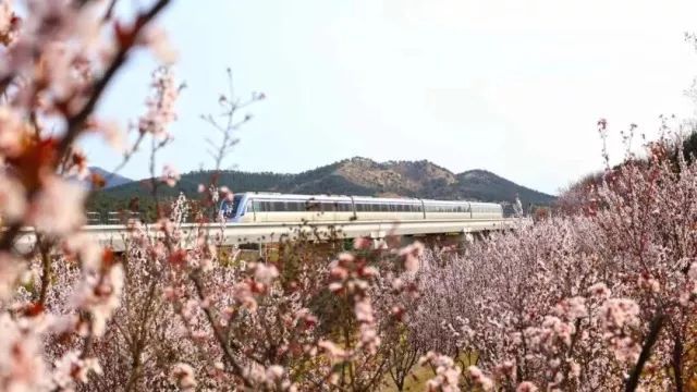 2019天泰山音乐节