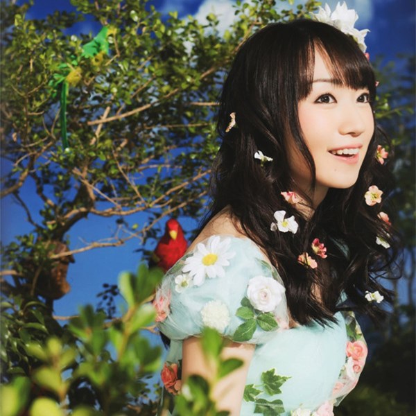 2019水树奈奈香港演唱会