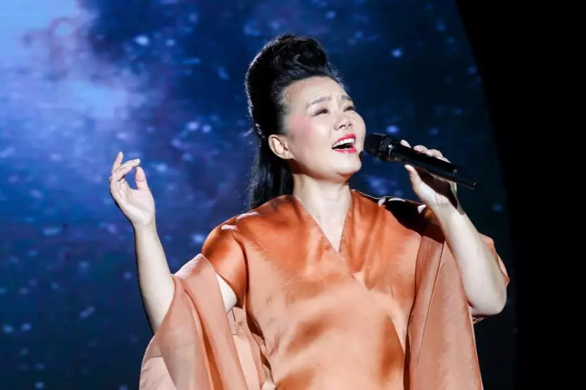 2019龚琳娜鞍山演唱会