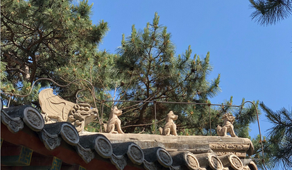 2019北京展览走进北大