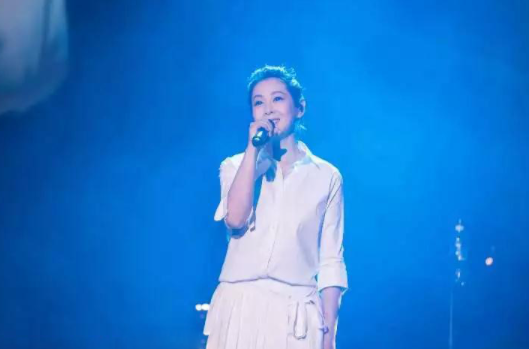 2020刘若英天津演唱会