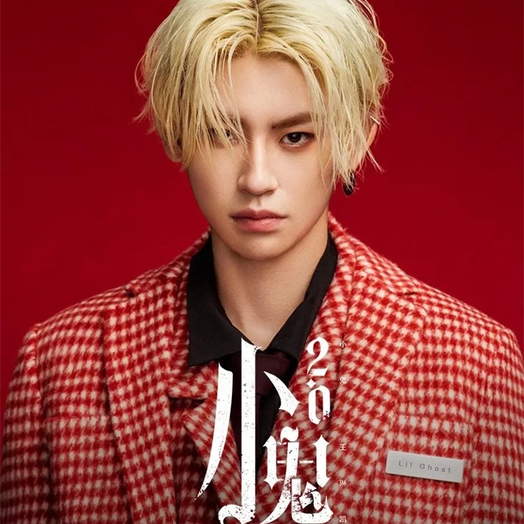2019王琳凯深圳演唱会
