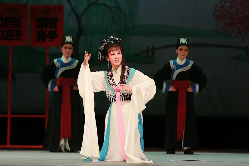 2019花中君子杭州站
