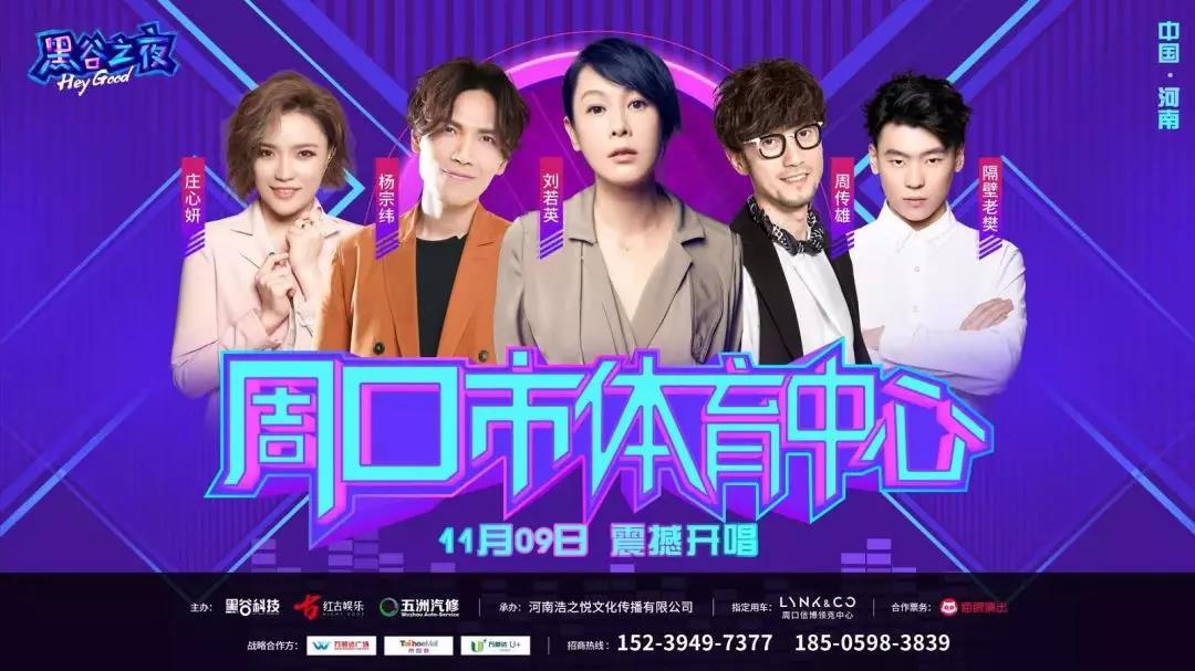 2019刘若英杨宗纬周口群星演唱会