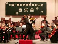 施特劳斯圆舞曲乐团上海音乐会2019门票在哪买?