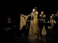 2019龚琳娜海口演唱会门票、时间、地点