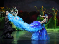 北京演艺公司有哪些_北京经纪演艺公司哪家好