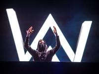 2019Alan Walker上海演唱会门票价格及订票地址