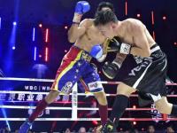 2019重庆WBO/WBC拳王争霸赛在哪买票?在哪订票?