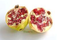 2019神首梦蚌埠演唱会时间、地点、门票价格