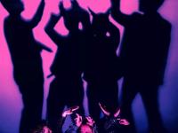 2019钢心乐队厦门演唱会门票预订、开售时间、演出安排