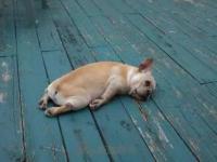 2019唱给单身汪光棍节主题演唱会重庆站门票（时间+场馆+购票入口）