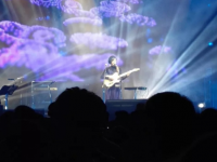 2019王胜娚济南演唱会门票价格、购票链接、演出介绍