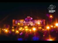 2021北京草莓音乐节即将震撼开启