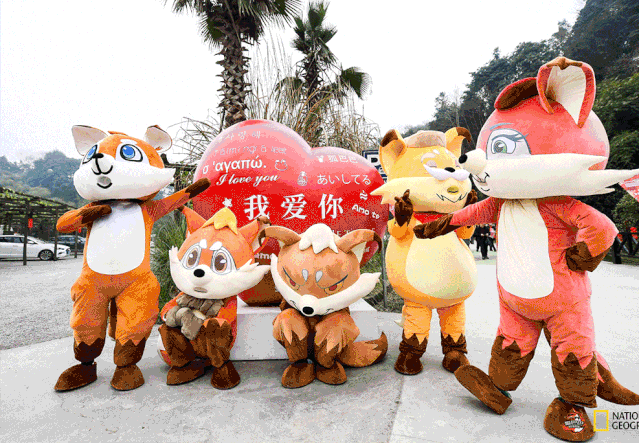 2022成都狐巴巴星球乐园门票(票价+免费+优惠+包含项目)
